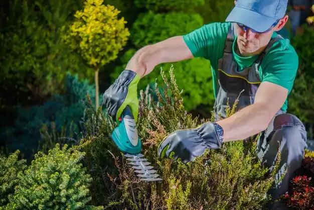 landscaping services West Hurley